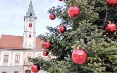 eTwinning projekt „Za mrvu kulture“