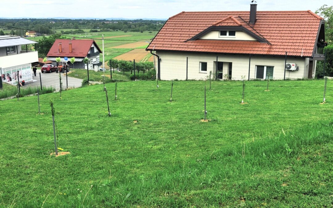 NAKON DESETAK GODINA NAŠA ŠKOLA PONOVO IMA ŠKOLSKI VOĆNJAK