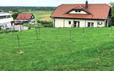 NAKON DESETAK GODINA NAŠA ŠKOLA PONOVO IMA ŠKOLSKI VOĆNJAK